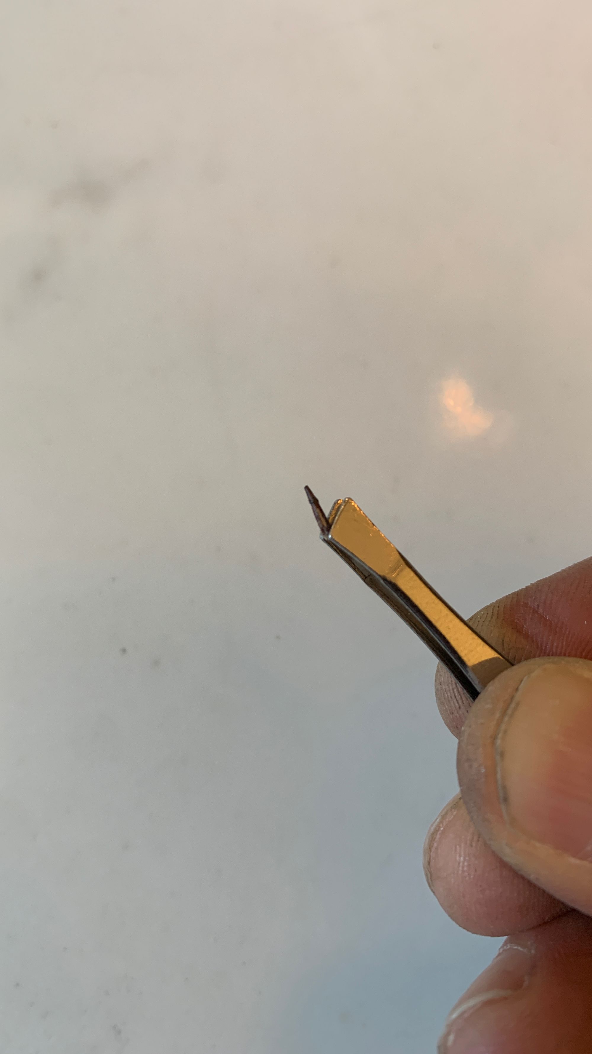 A tiny sharp shard of metal measuring only a few millimeters held in a pair of tweezers.